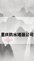 重庆防水堵漏公司