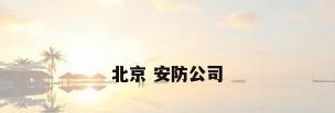 北京 安防公司