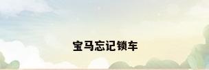 宝马忘记锁车