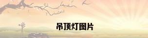 吊顶灯图片