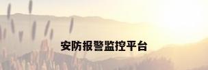 安防报警监控平台