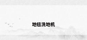 地毯洗地机