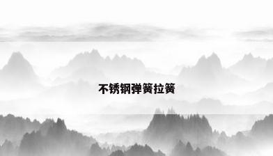 不锈钢弹簧拉簧