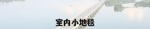 室内小地毯