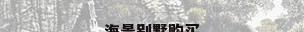 海景别墅购买