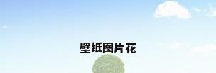 壁纸图片花