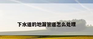 下水道的地漏管道怎么处理
