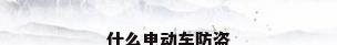 什么电动车防盗