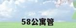 58公寓管