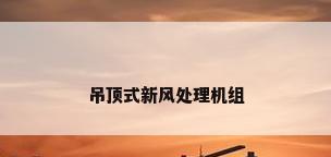 吊顶式新风处理机组