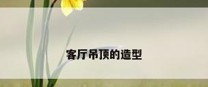 客厅吊顶的造型
