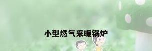 小型燃气采暖锅炉