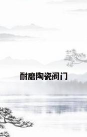 耐磨陶瓷阀门