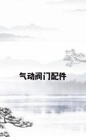 气动阀门配件
