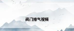 阀门排气视频