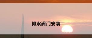 排水阀门安装