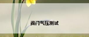 阀门气压测试