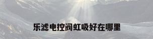 乐滤电控阀虹吸好在哪里