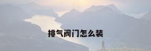 排气阀门怎么装
