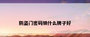 防盗门密码锁什么牌子好