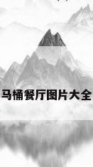 马桶餐厅图片大全