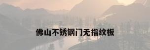 佛山不锈钢门无指纹板