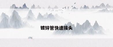 镀锌管快速接头