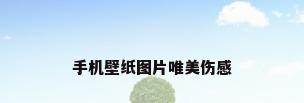 手机壁纸图片唯美伤感