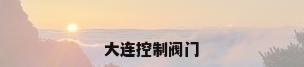 大连控制阀门