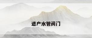 进户水管阀门