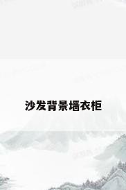 沙发背景墙衣柜