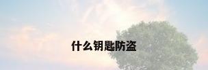 什么钥匙防盗