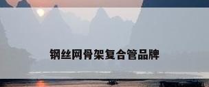 钢丝网骨架复合管品牌