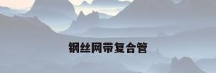 钢丝网带复合管