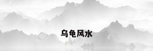 乌龟风水