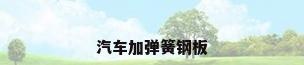 汽车加弹簧钢板