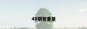 48钢管重量
