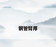 钢管臂厚