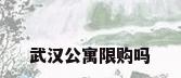 武汉公寓限购吗