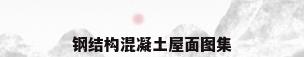钢结构混凝土屋面图集