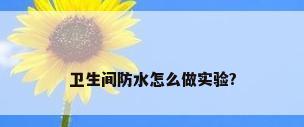 卫生间防水怎么做实验?