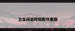 卫生间瓷砖隔断效果图