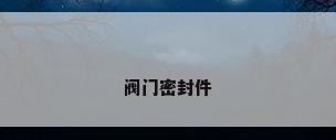 阀门密封件