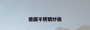 德国不锈钢炒锅