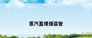 蒸汽直埋保温管