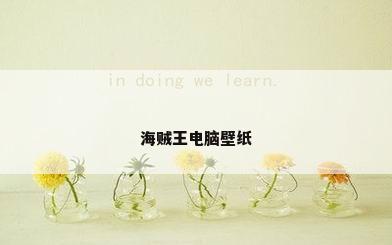 海贼王电脑壁纸