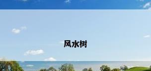 风水树