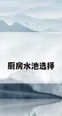厨房水池选择