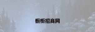 橱柜招商网