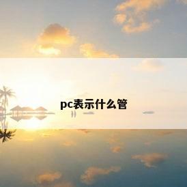pc表示什么管